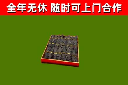 鸡东回收海参